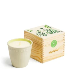 Limited Edition Bergamot Botanic Candle