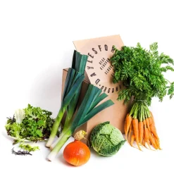 Market Garden Vegetable Box