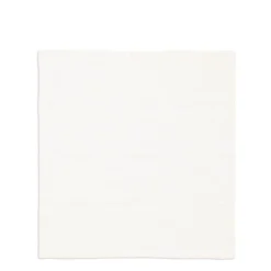 Optic White Napkin