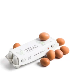 Organic Cotswold Brown Eggs 12 Pack